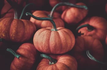 Skincare & Haircare Benefits of Pumpkin – Why Is Pumpkin Good for Skin & Hair?